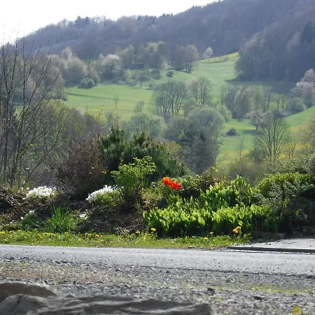 Mondfaenger * Ehrenberg (Hessen)