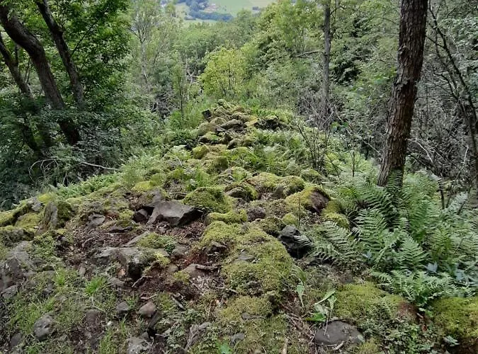 Lägenhet Mondfaenger *