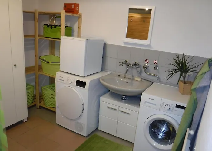 Mondfaenger Ehrenberg (Hessen)