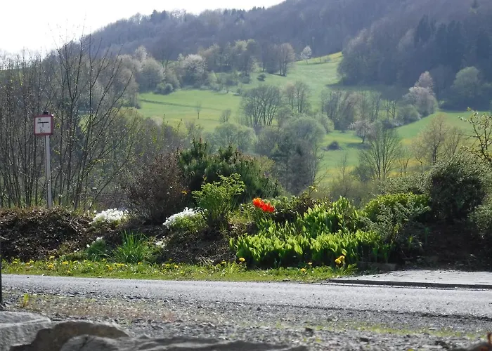 Mondfaenger * Ehrenberg (Hessen)